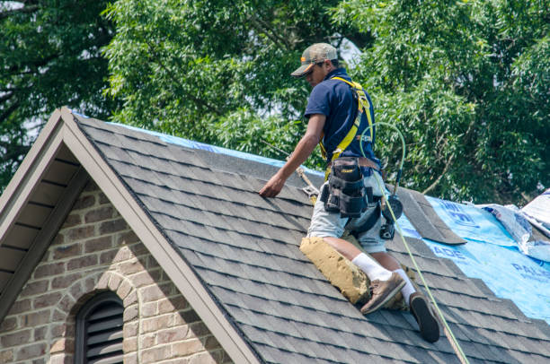 Roof Gutter Cleaning in Rockmart, GA